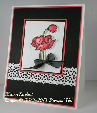 Simply sketched calypso