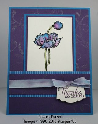 Blue poppies Simply Sketched 1