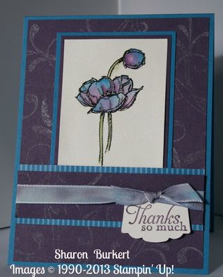 Blue Poppies Simply Sketched side