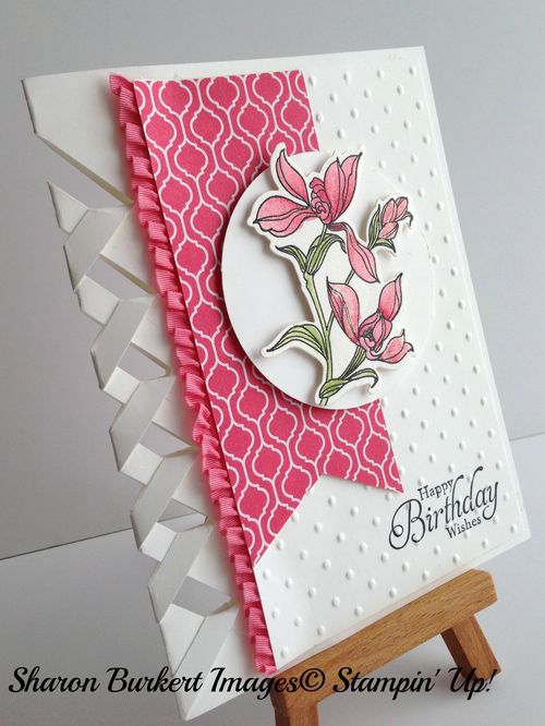 Backyard Basic class card side