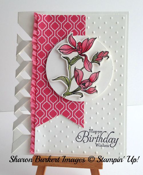 Backyard Basics In Color Class card