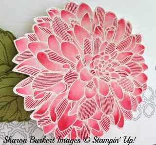 Regarding Dahlias real red close up Regarding Dahlias real red close up