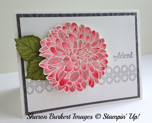 Regarding Dahlias real red side Regarding Dahlias real red side