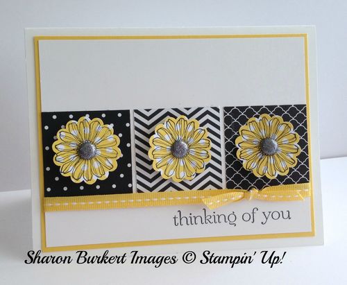 Best of Flowers Daffodil Delight 2