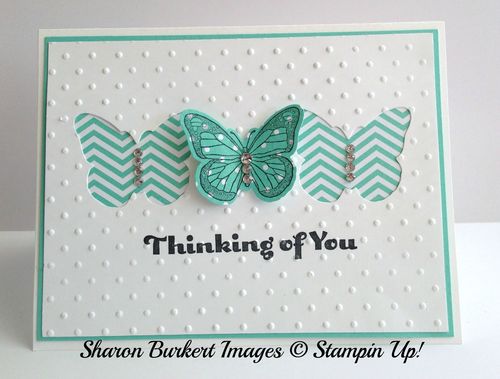 Backyard Basics bfly coastal front Backyard Basics bfly coastal front