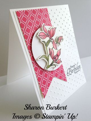 Backyard Basic Strawberry Slush 2