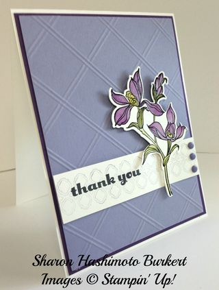 Backyard Basics Wisteria Wonder side