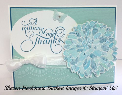 Regarding Dahlias in Pool Party side