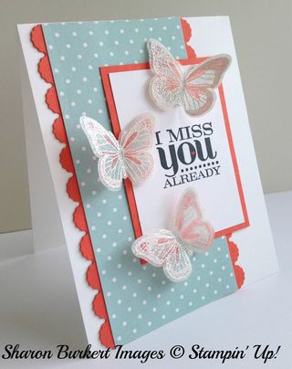 Backyard Basic Bfly Calypso Coral