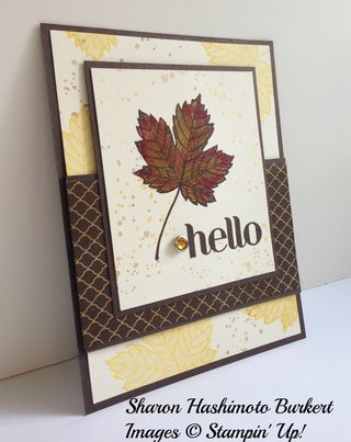 Magnificent Maple Crushed Curry side