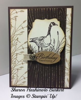 Wetlands in Early Espresso