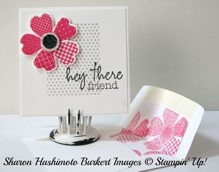 MPP 3 x 3 Melon MPP 3 x 3 Melon