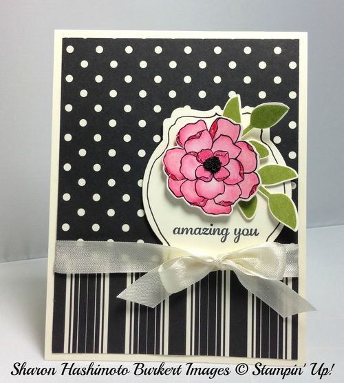 Modern Medley and the Secret Garden