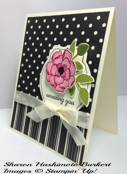 Modern Medley and the Secret Garden side