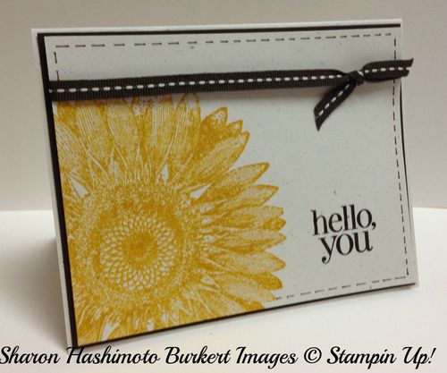 Sunflower Hello side