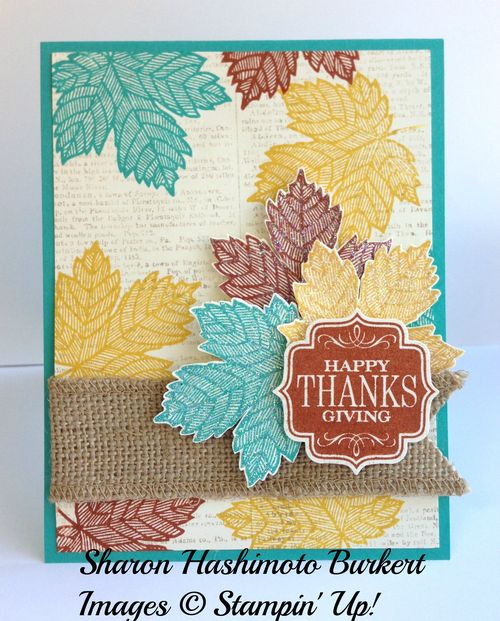 Magnificent Maple Magnificent Maple