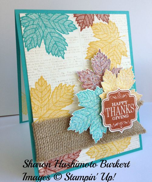 Magnificent Maple side Magnificent Maple side