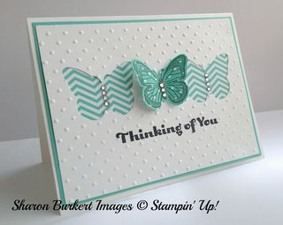 Backyard Basics bfly coastal  side