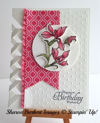 Backyard Basics In Color Class card