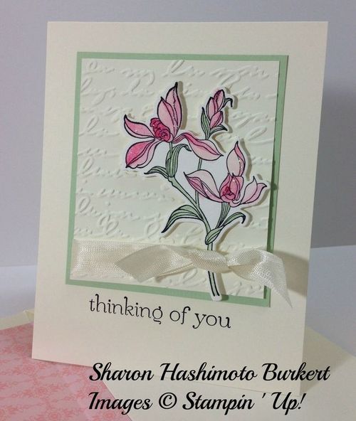 Backyard Basics sympathy front