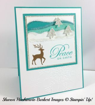 Sampler class card side
