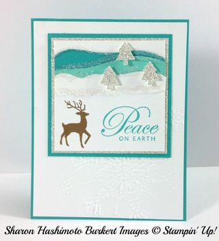 Sampler class card