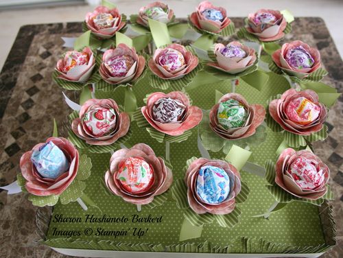 Field of spiral flowers 3