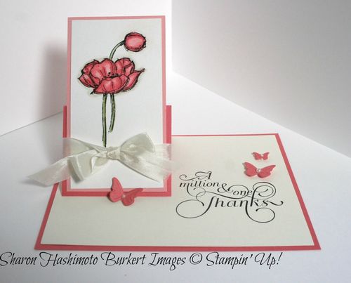 Fff flap easel front