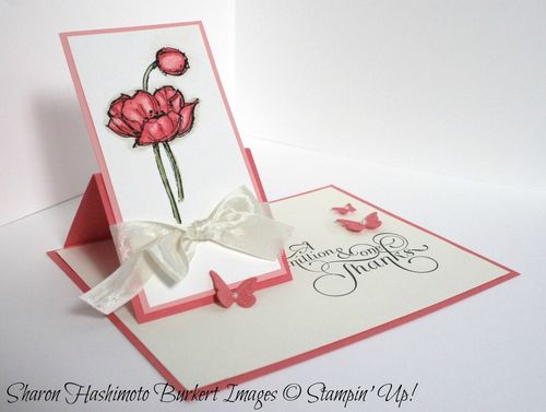 Fff flap easel up left