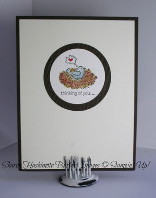 For the birds hardwood inside For the birds hardwood inside