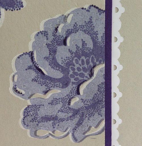 Stippled Blossoms Wisteria Wonder close