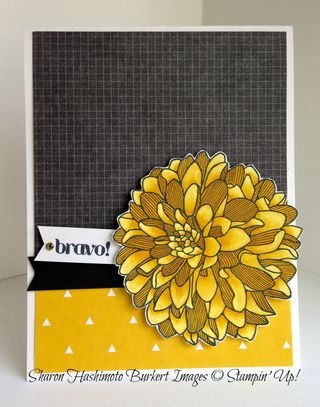 Regarding Dahlias Daffodil Delight Blendabilities