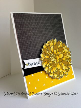 Regarding Dahlias Daffodil Delight Blendabilities side view