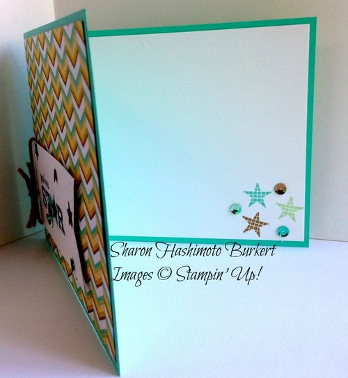 Pictogram Pictures 2a