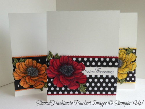 More Bloom with Hope