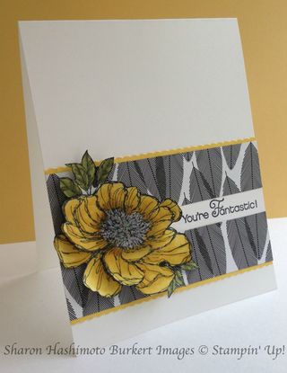 Bloom with Hope side