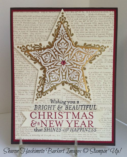 Bright and Beautiful case