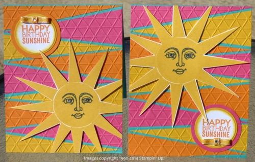 Ray of Sunshine Project Sheet Ray of Sunshine Project Sheet