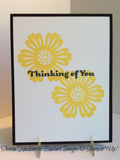 S'Up inside S'Up inside