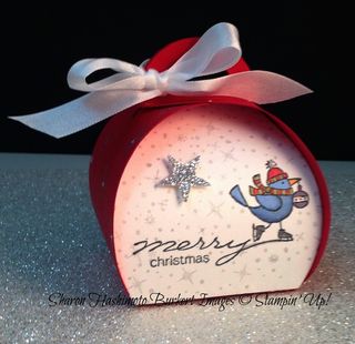 For the Birds Curvy box2 For the Birds Curvy box2