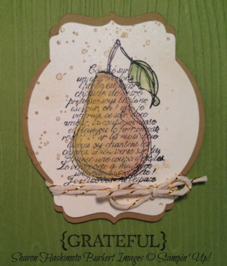 TBT Faith in Nature close