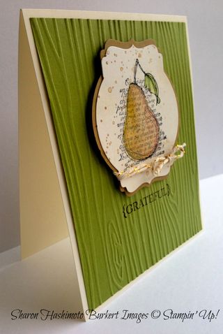 TBT Faith in Nature side