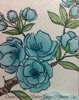 150112Indescribable Gift close