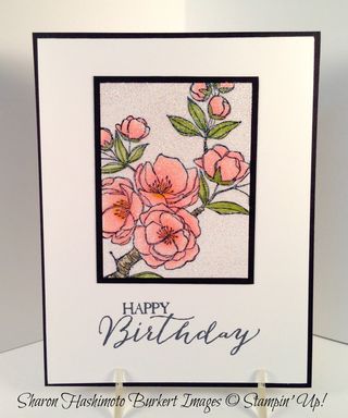 150106Indescribable gift