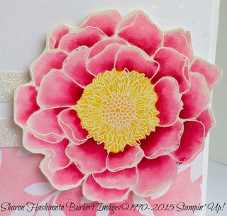 Blended Bloom close 15-03-28