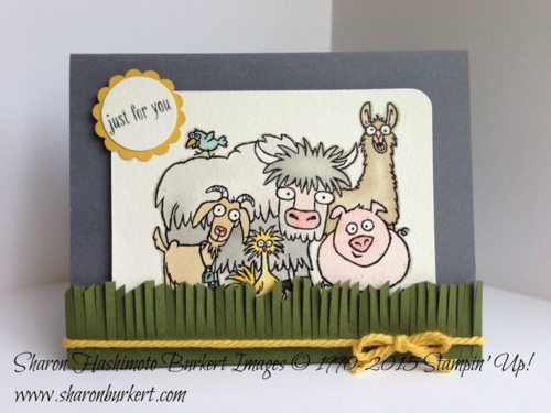 From the Herd 15-03-17 