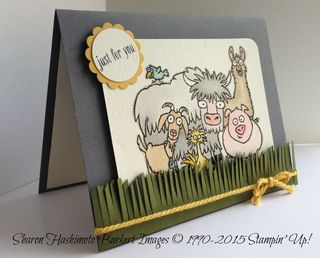 From the Herd side 15-03-17