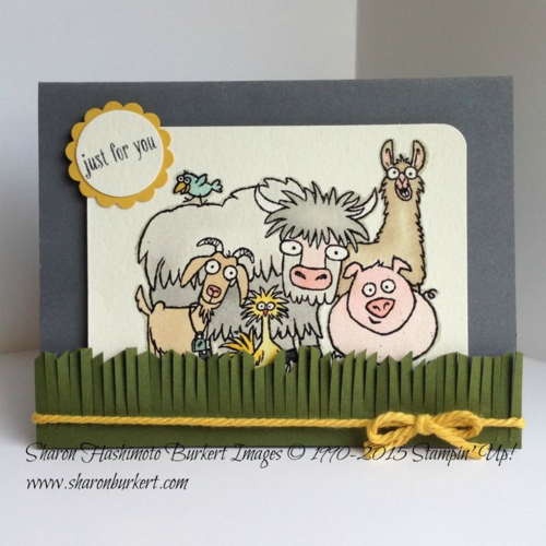 From the Herd square 15-03-17