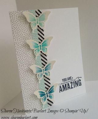 Nature's Perfection side 15-03-11 Nature's Perfection side 15-03-11