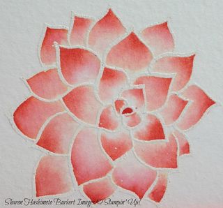 Natures Perfection flower 15-03-10 Natures Perfection flower 15-03-10